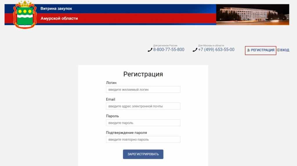 Где найти закупки Амурской области
